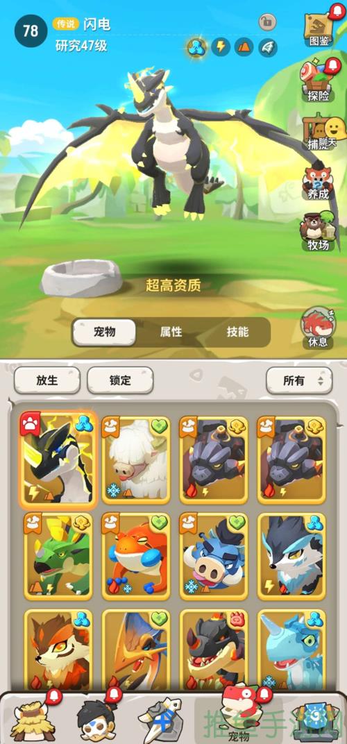 口袋训练师电脑版，成为最优秀的宠物训练大师！